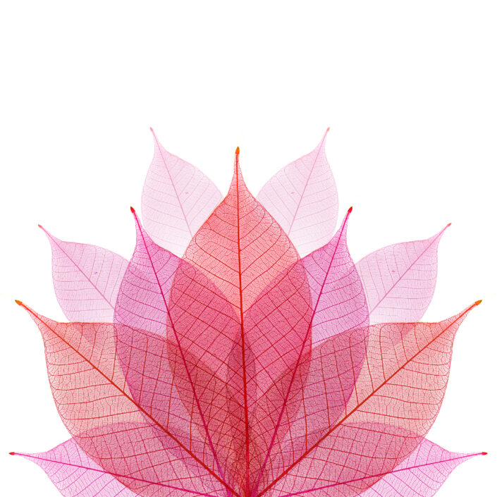 shutterstock_97741550